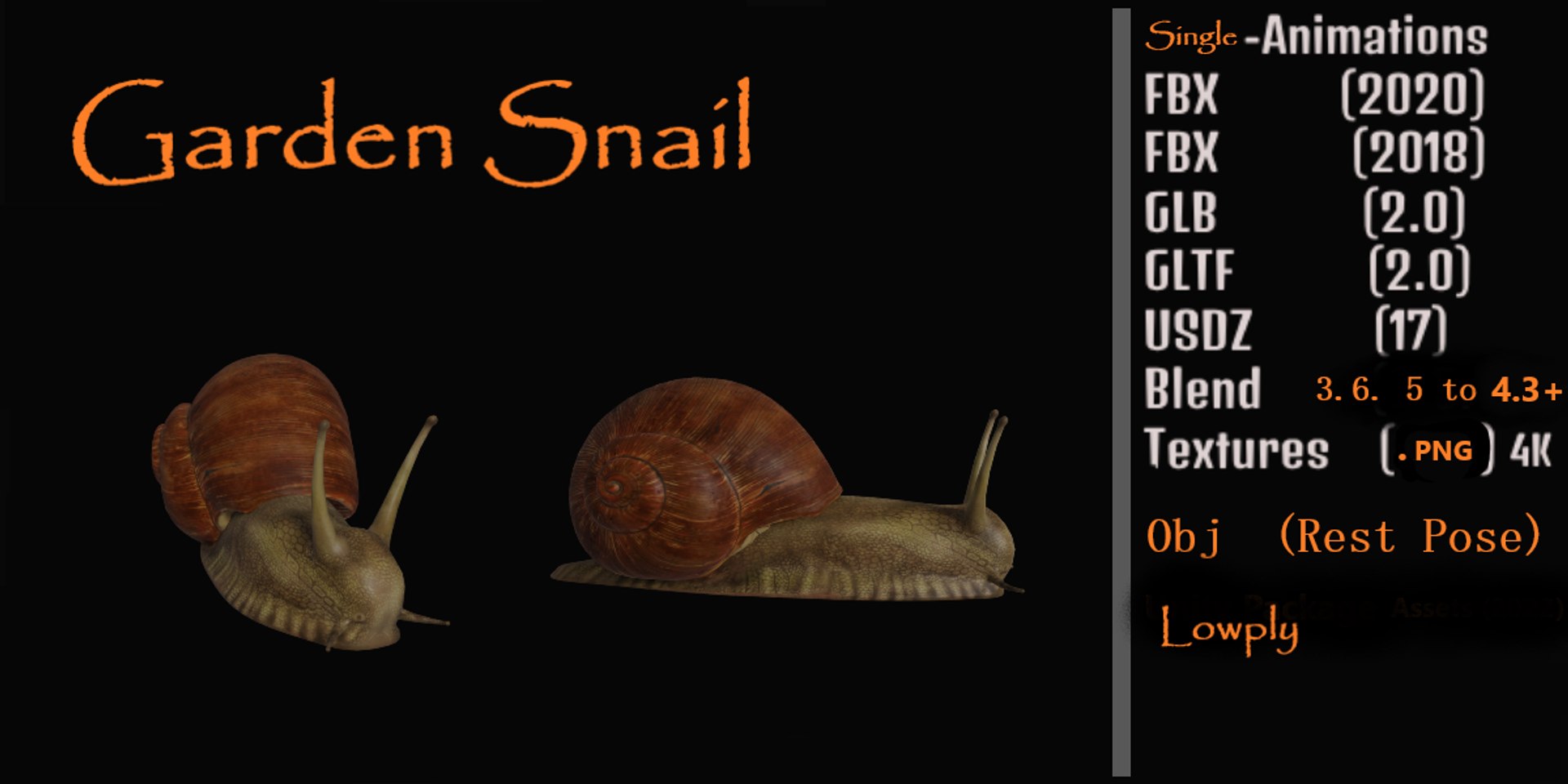 Garden Snail 3D Model - TurboSquid 2375638