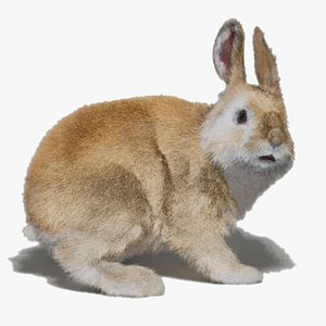 3D Rabbits Animated UNREAL project