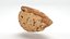 Almond Shell 02