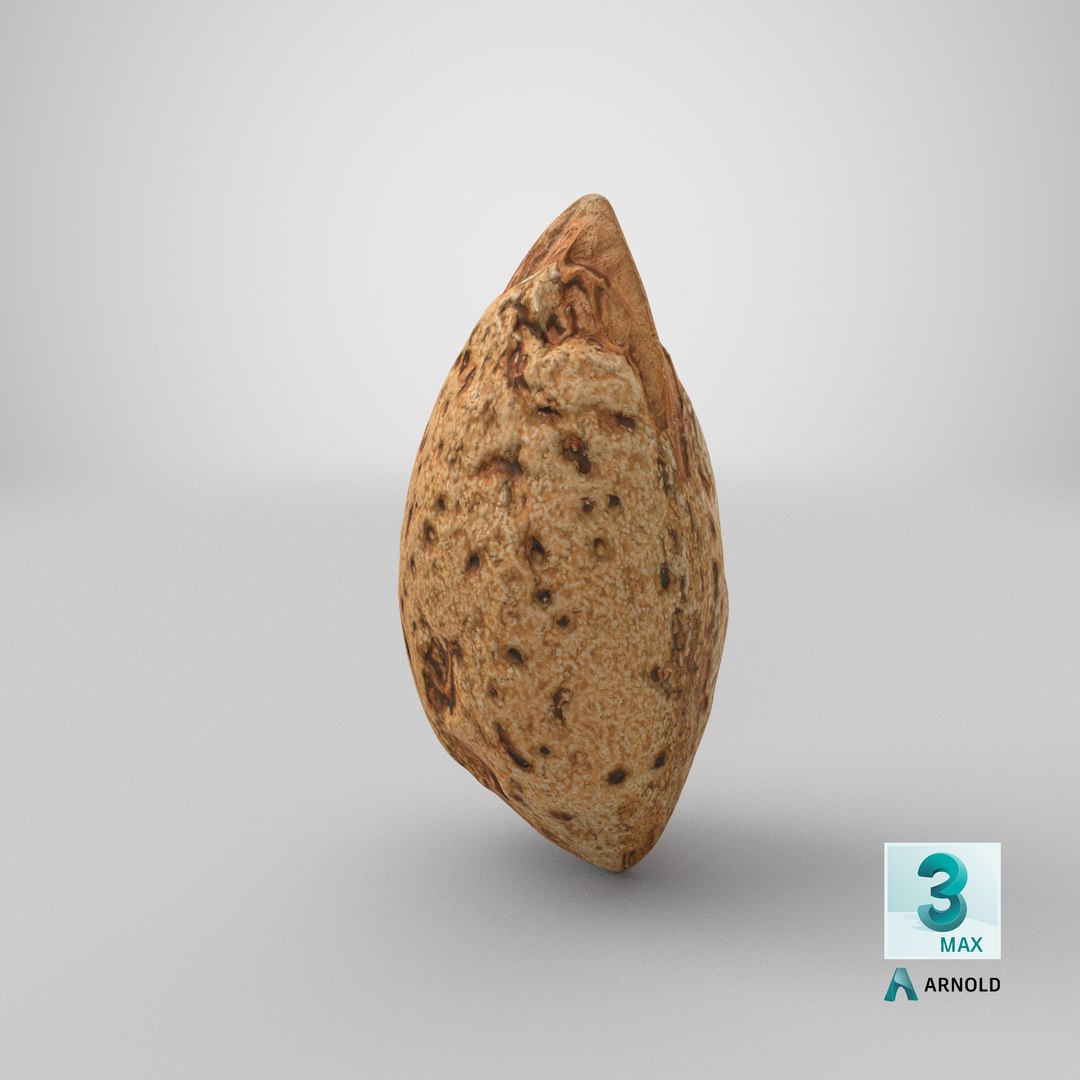 3D model Almond Shell 02 https://p.turbosquid.com/ts-thumb/yX/zaeCc9/1G/stemcell_max_arnold_render/png/1678938880/1920x1080/fit_q87/dba5f5af04aadd05c896dfe3ae6a491584b4264c/stemcell_max_arnold_render.jpg