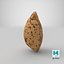 Almond Shell 02
