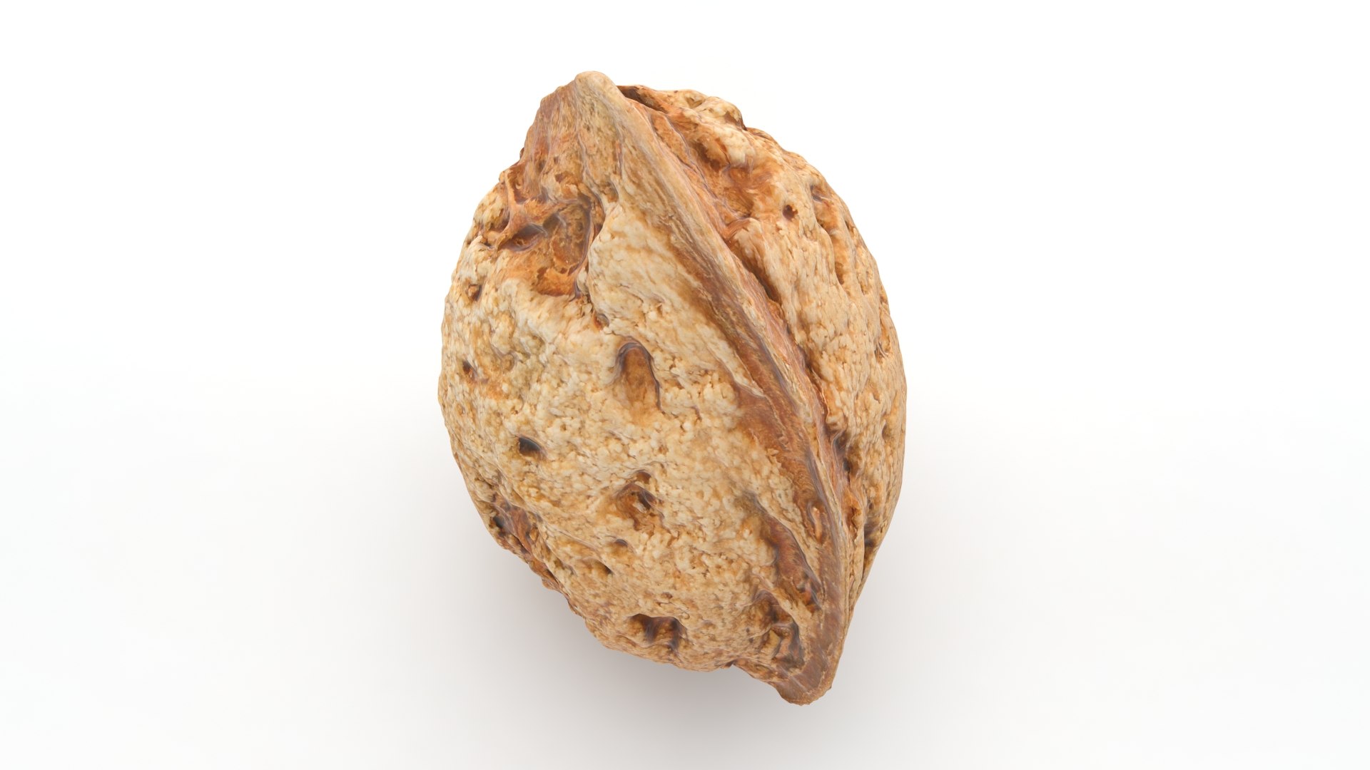 3D model Almond Shell 02 TurboSquid 2013330