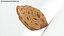 Almond Shell 02