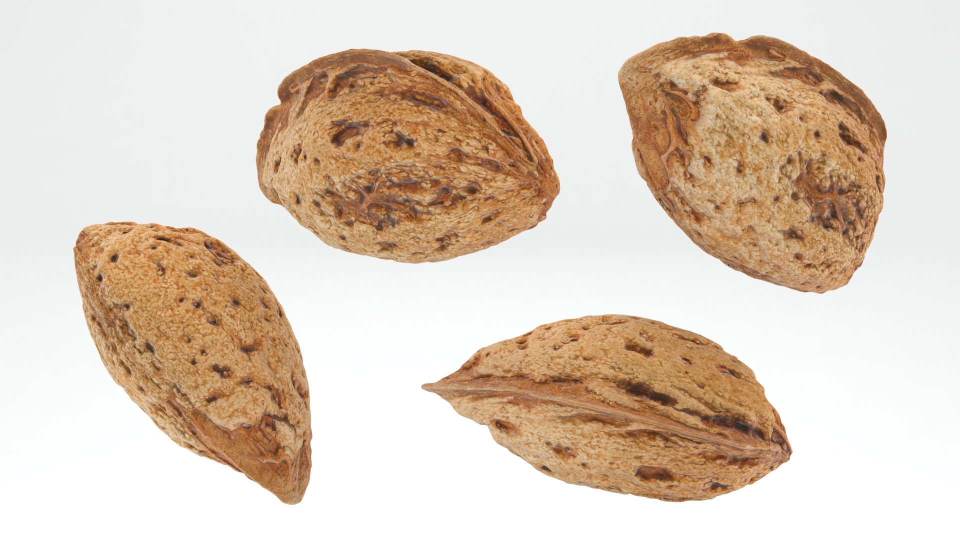 3D model Almond Shell 02 TurboSquid 2013330