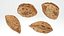 Almond Shell 02