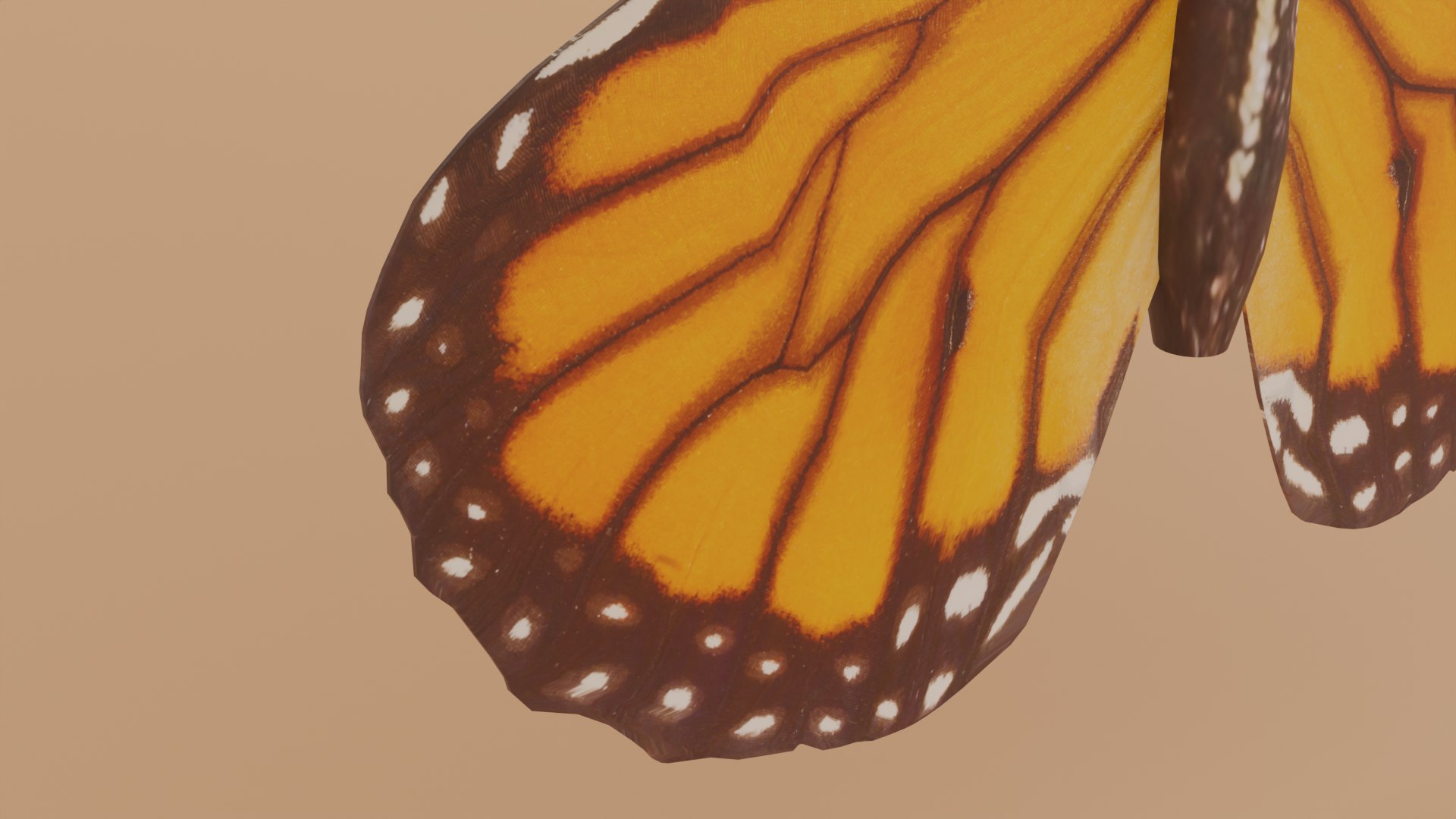 3D Monarch Butterfly model https://p.turbosquid.com/ts-thumb/yY/3PnMIm/E8/88.3_1/png/1704713608/1920x1080/fit_q87/1d2751a88f58aaadaea22218f826cbaa9ed5c0fe/88.3_1.jpg