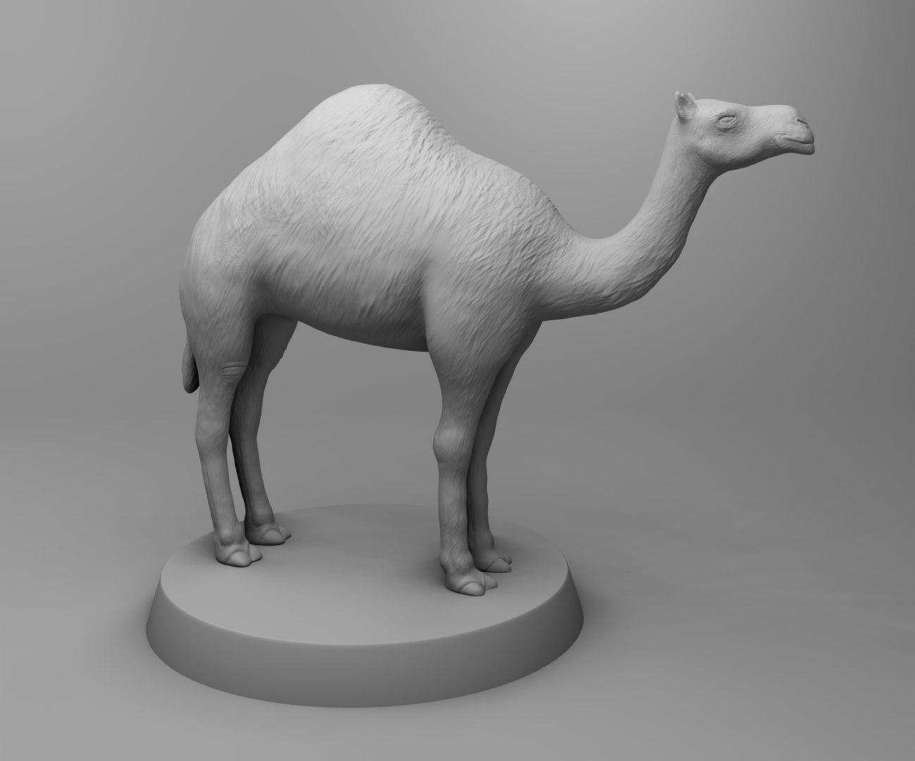 africa camel 3D https://p.turbosquid.com/ts-thumb/yY/6XwIiU/aN/render3/png/1611315567/1920x1080/fit_q87/674e5c5b4237d43fd93c917a39ef0b2b5137c796/render3.jpg