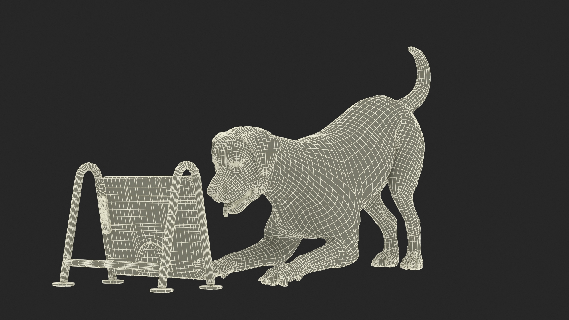 3D Dogsplay TV Video Device With Dog - TurboSquid 2328336