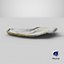 Ostrica metà superiore 01