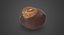 Chestnut 1