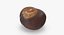 Chestnut 1