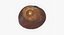 Chestnut 1