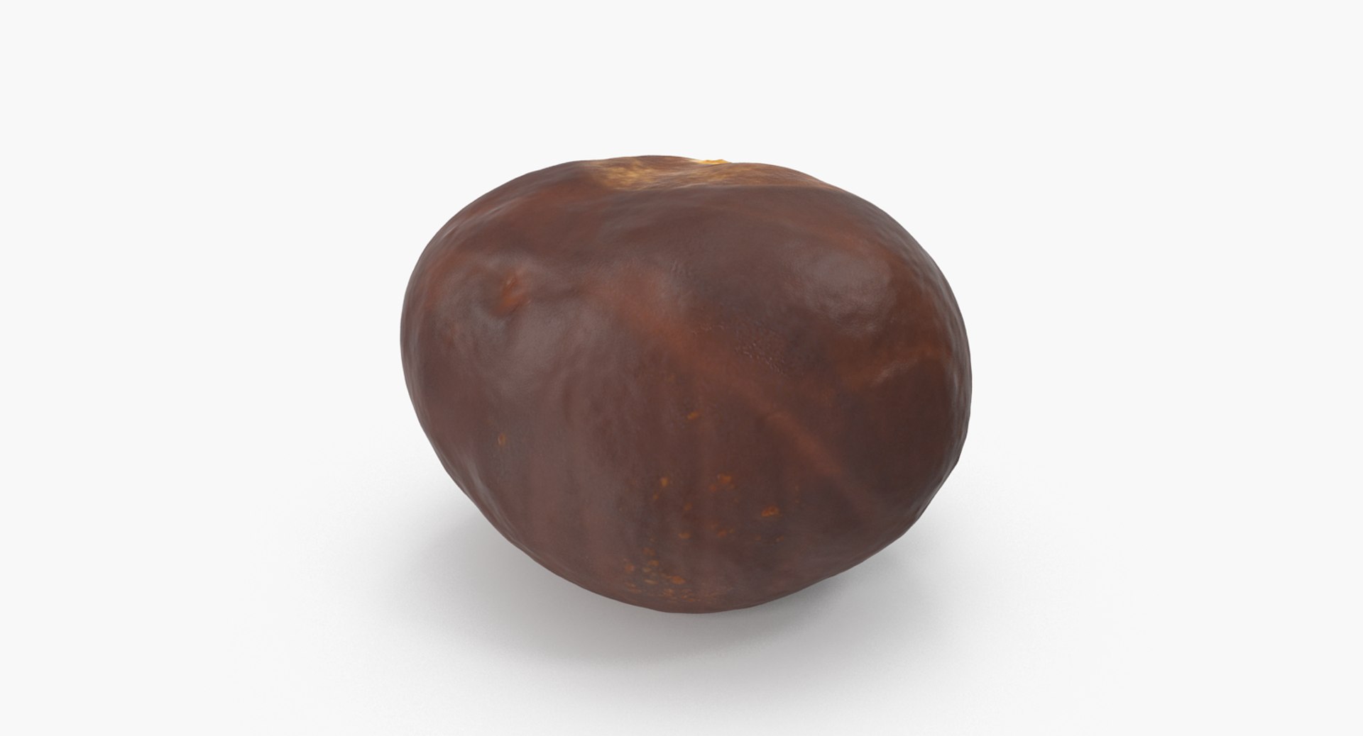 chestnut 1 3D model https://p.turbosquid.com/ts-thumb/yY/YdYmFU/oxr9cWv9/chestnut_1_02/png/1506865336/1920x1080/fit_q87/34758d34b343a4a0c7894446d648fcfc4f043a71/chestnut_1_02.jpg