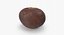 Chestnut 1