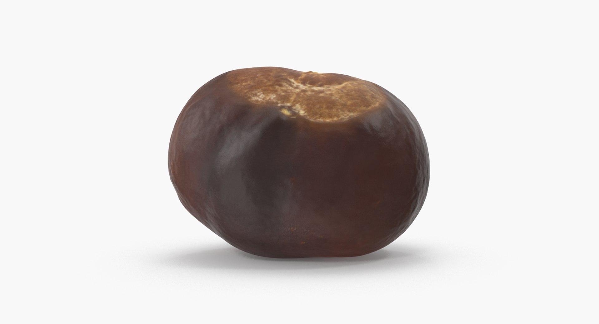 chestnut 1 3D model https://p.turbosquid.com/ts-thumb/yY/YdYmFU/x7IuqY0l/chestnut_1_05/png/1506865336/1920x1080/fit_q87/c64a800b8931c7b7cd243b17d06ff462ffe81e0b/chestnut_1_05.jpg