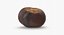Chestnut 1
