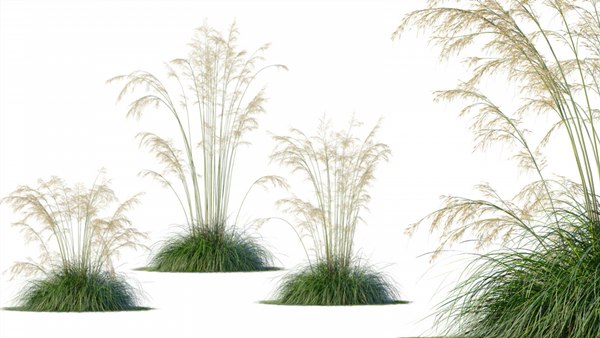 Set De 104 Touffes D’herbe Miniature 4mm – Résine Pour Décors Ferroviaires, Dioramas Et Modèles