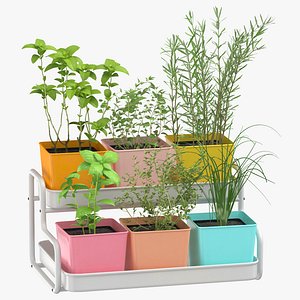 Indoor Herb Garden 03