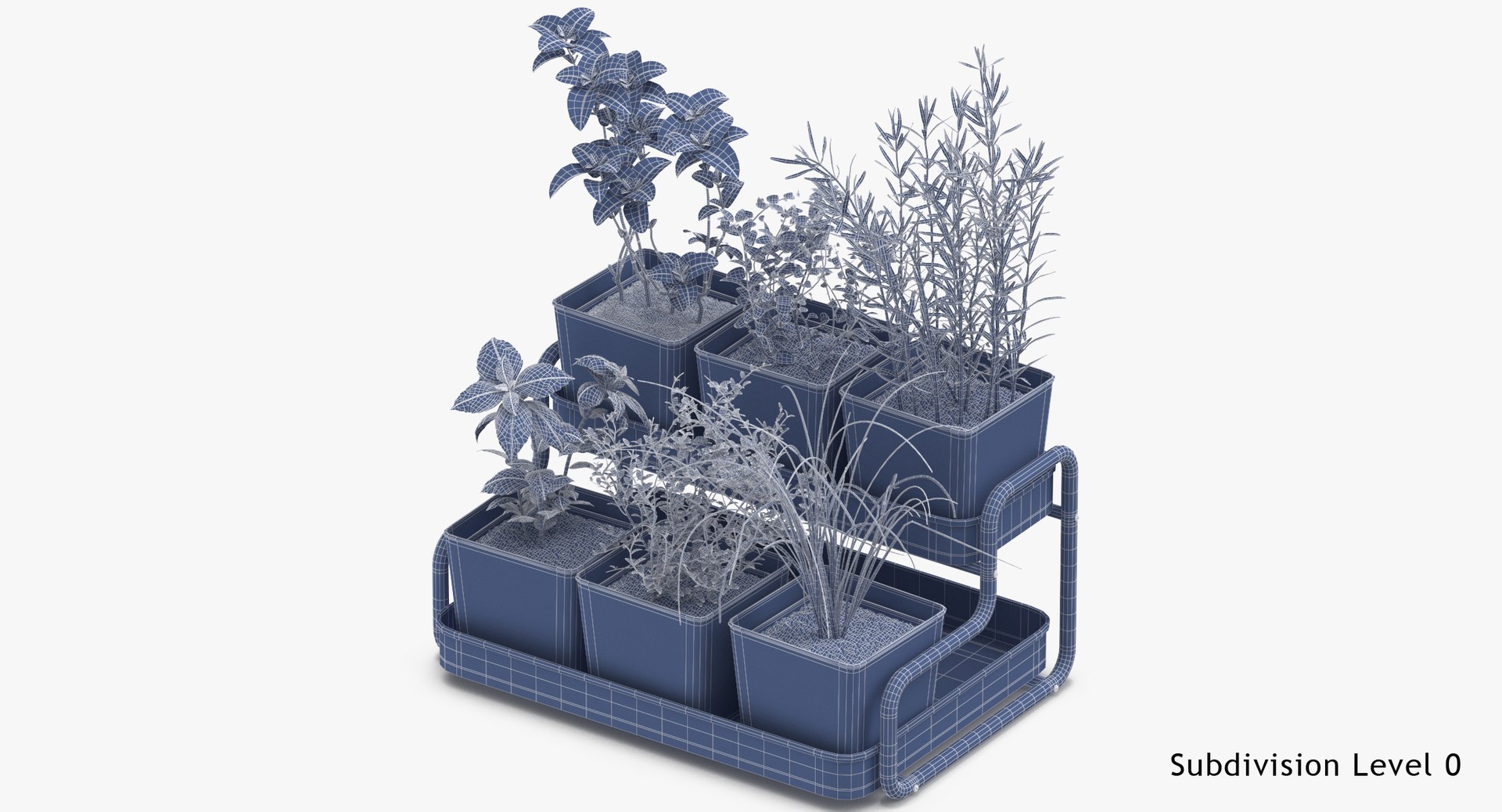 3D Model Indoor Herb 03 TurboSquid 1358996