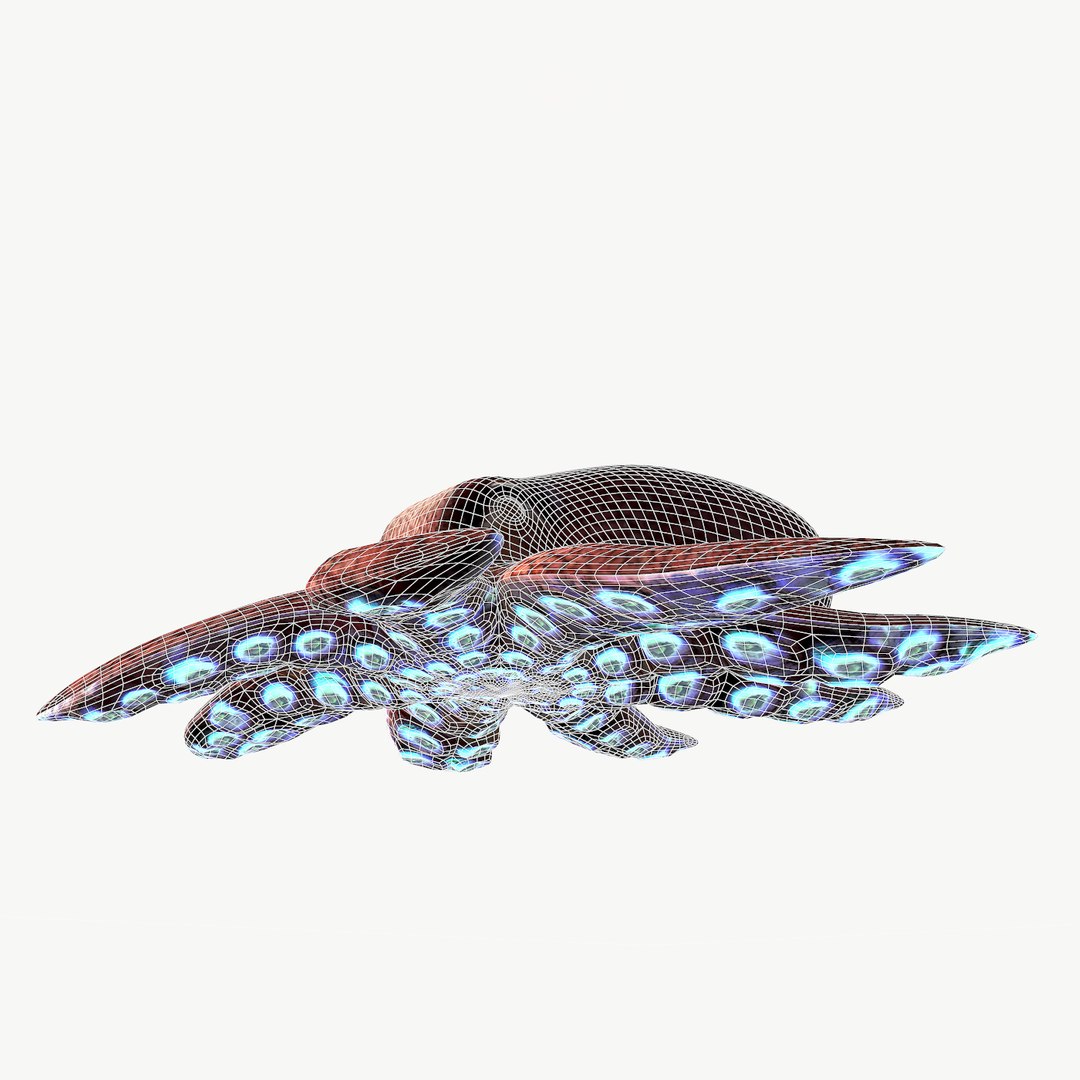 3d Coconut Squid Ready Model