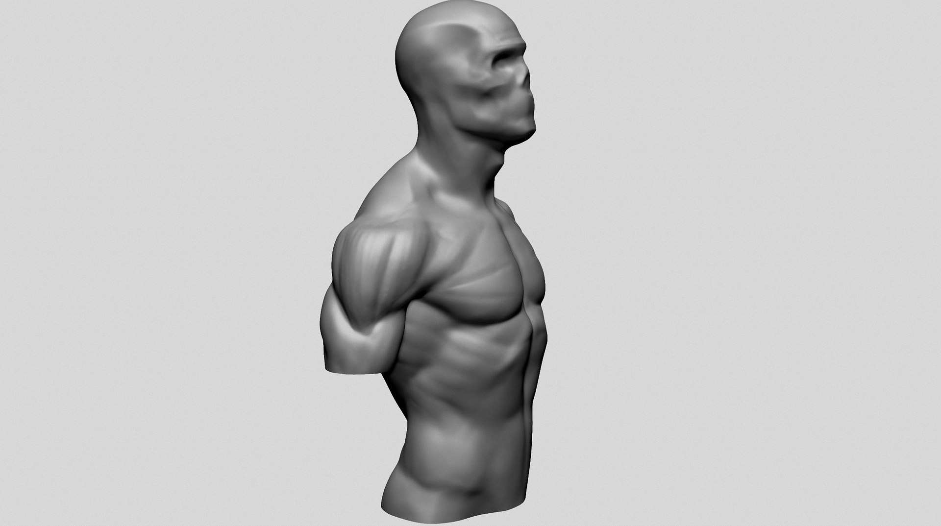 Male Upper Body For 3DPrint 3D Model - TurboSquid 2198880