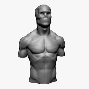Male Upper Body for 3DPrint 3D model