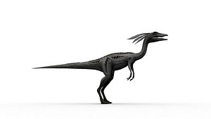 3D model Velociraptor