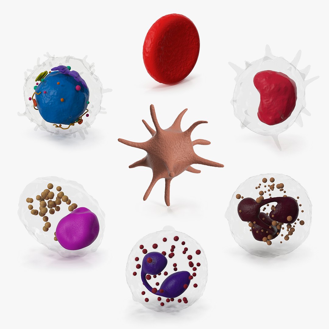 Blood Cells Collection 5 3D model preview