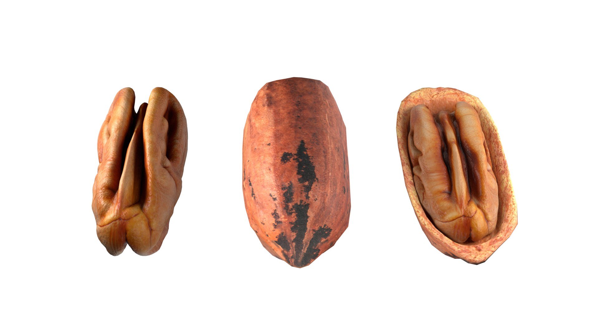 3D Almond Cashew and Pecan Nut model https://p.turbosquid.com/ts-thumb/yZ/QRfjwg/2Z/1/jpg/1745470816/1920x1080/fit_q87/5c6f4b04ac632b51973016dd7bb77248c816681c/1.jpg
