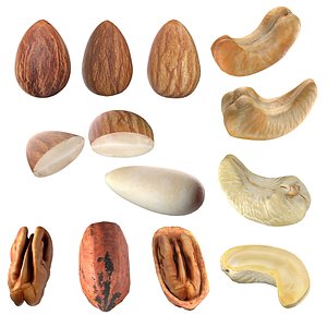 3D Almond Cashew and Pecan Nut model