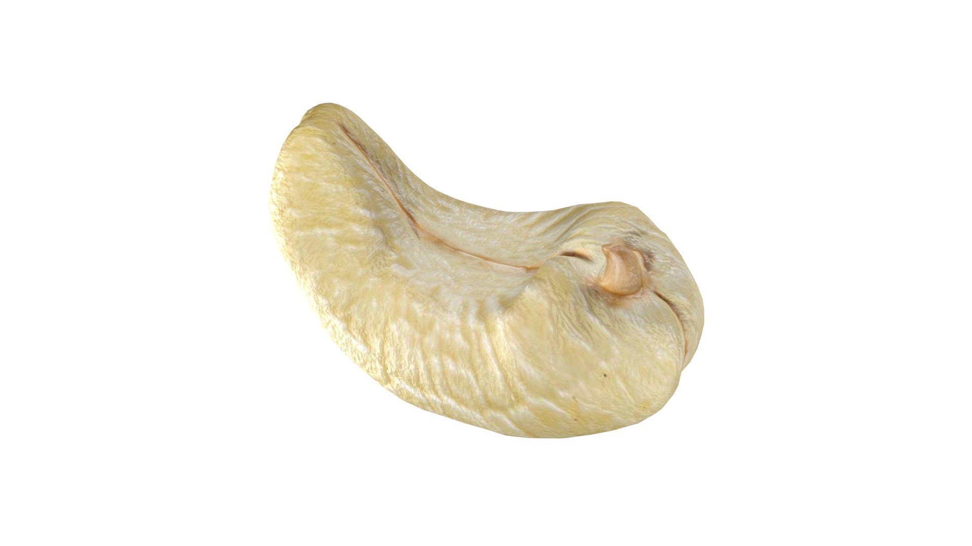 3D Almond Cashew and Pecan Nut model https://p.turbosquid.com/ts-thumb/yZ/QRfjwg/o4/8/jpg/1747397091/1920x1080/fit_q87/7e8a26fe0eb2ab8fb2af2ab9f0ab75ff9e94bebb/8.jpg