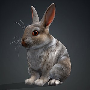 Rabbit-A3 3D model