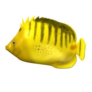 tropical fish 3d model