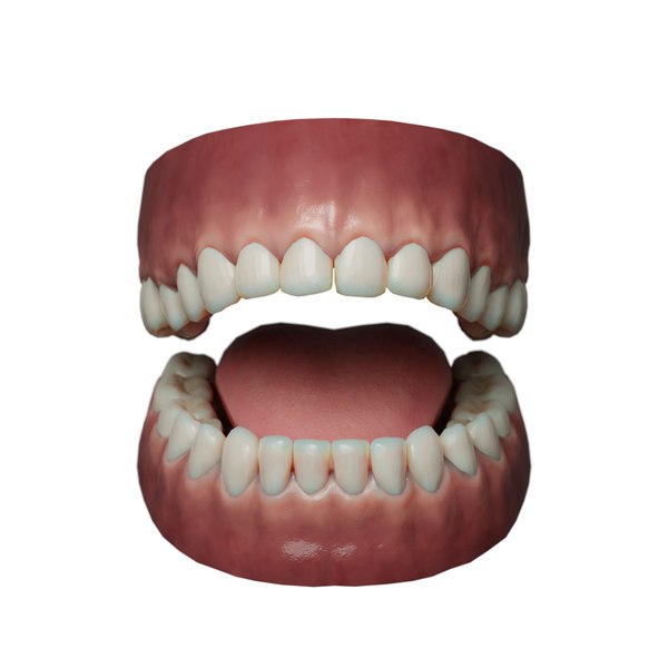 人类的牙齿blender模型