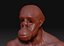 monky head high quality  by MAA alabdrabbuh