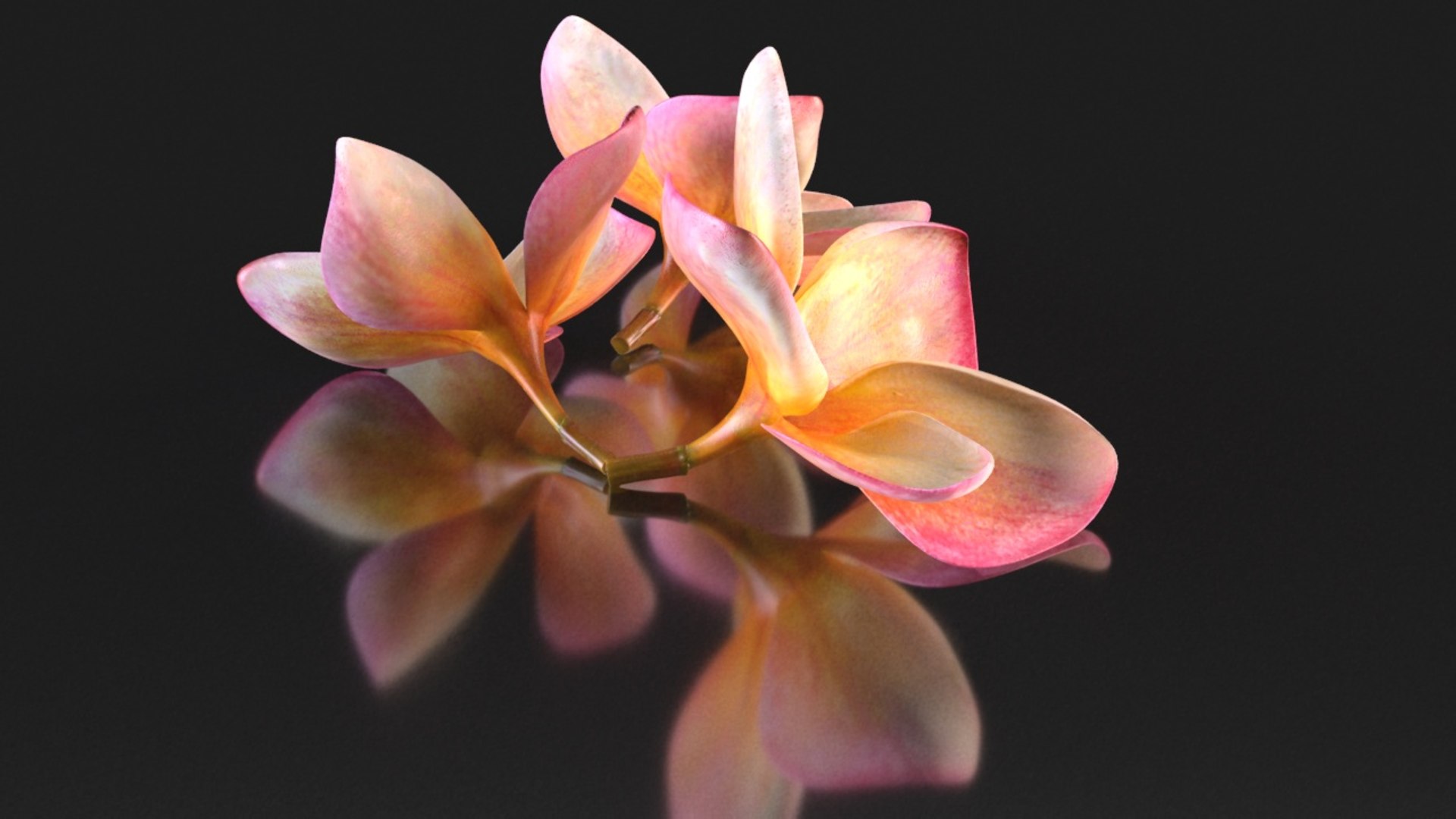 3D plumeria flowering tree model https://p.turbosquid.com/ts-thumb/yZ/efknYS/CPdYCGey/2/jpg/1608040812/1920x1080/fit_q87/5e4f641dc82bdc2c88ec78f85962d3637271d54a/2.jpg