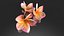 Plumeria Obtusa frangipani flowers spa decor