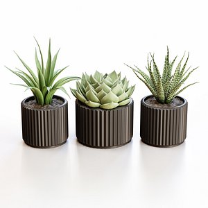 3D flowerpots black pots model