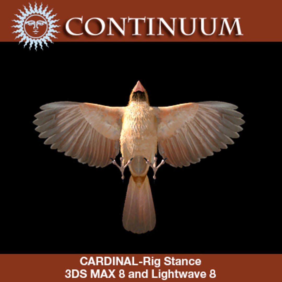 3d cardinal female rig stance model