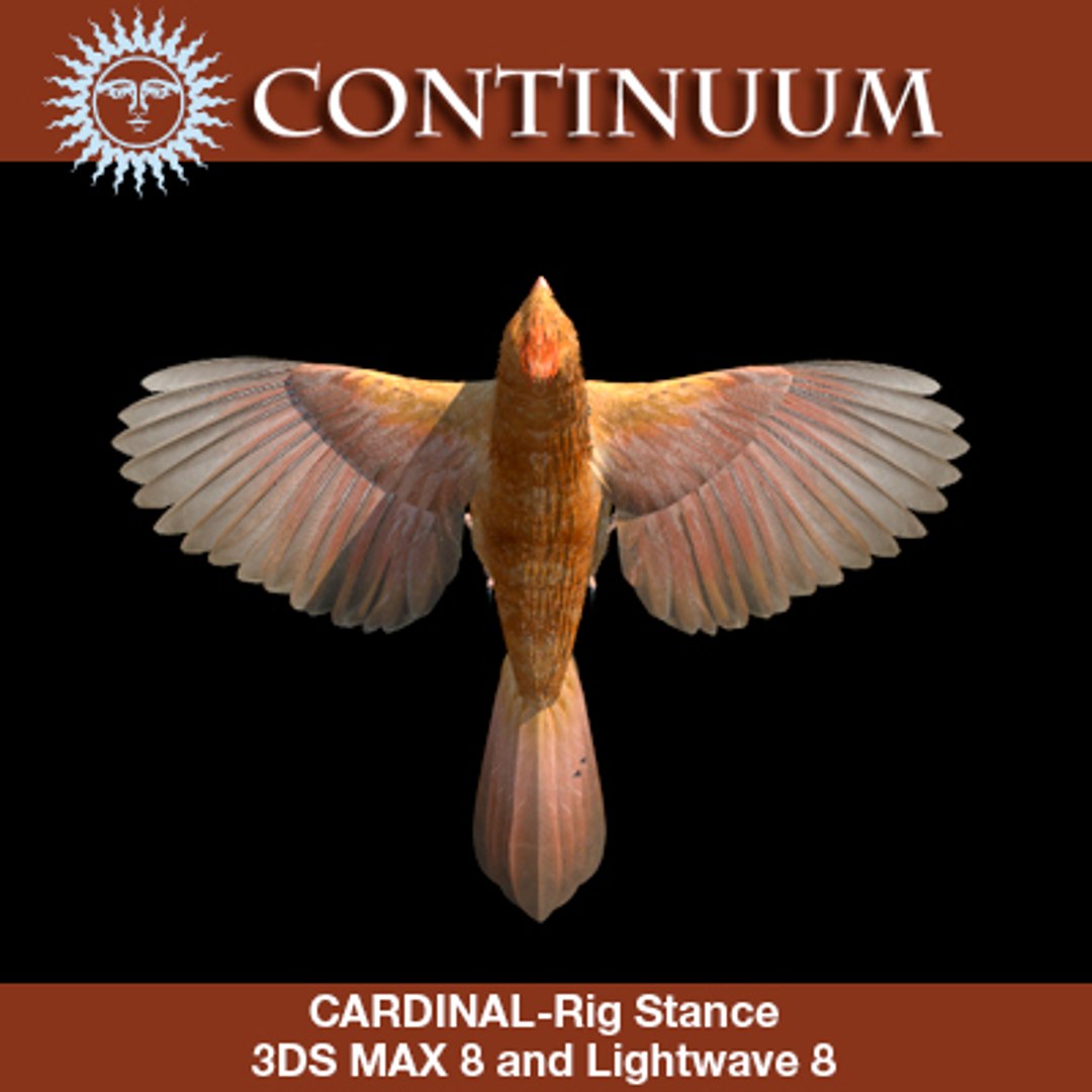 3d cardinal female rig stance model