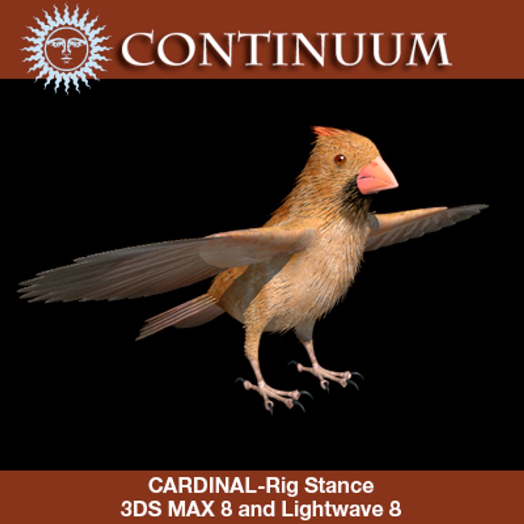 3d cardinal female rig stance model