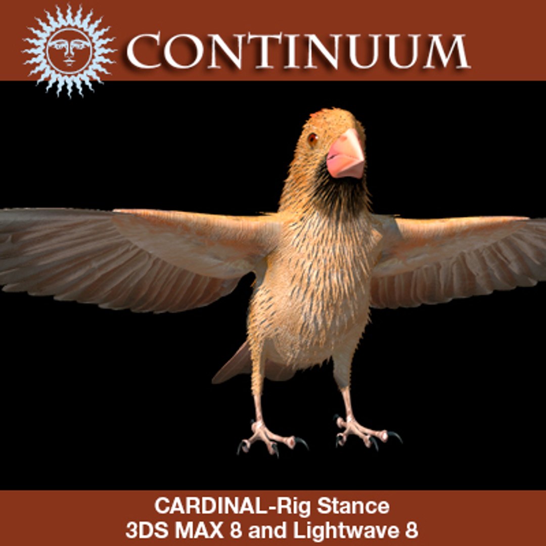 3d cardinal female rig stance model