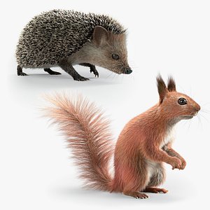 Squirrel and Hedgehog Rigged Bundle