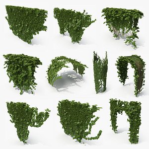 Ivy Architectural Bundle (2)