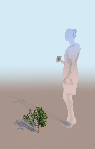 gobotree mangrove bush c 3D model