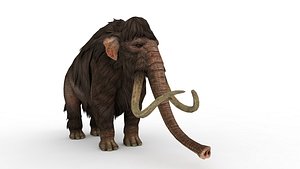 Wild elephant 3D