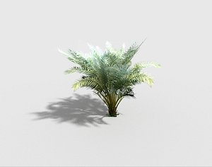 palm plant 3d 3ds