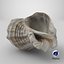 Cockleshell 2