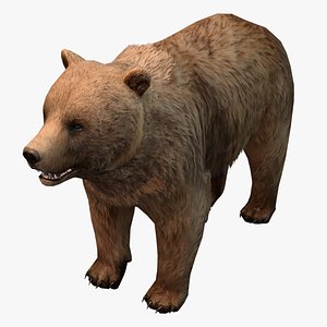 low-poly bear 3d max