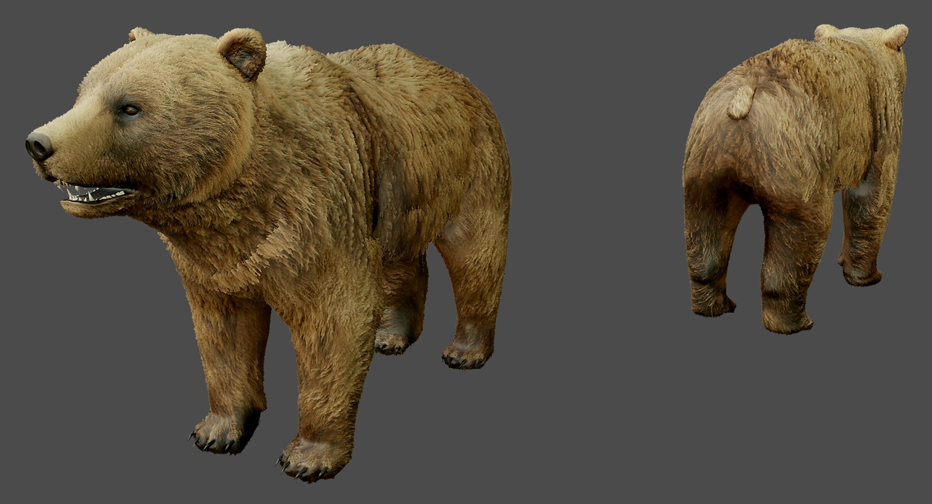 Low-poly Bear 3d Max